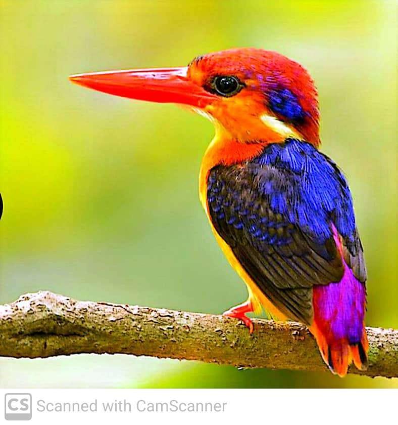 Lagoon Birds - Tangalle Hotel Exterior photo